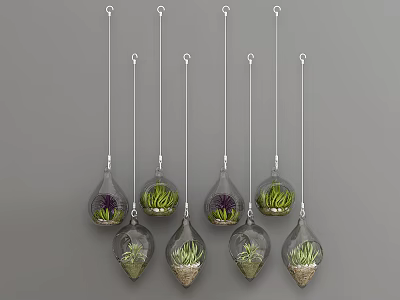 Multiple Glass Hanging Planters With Small Green Succulents Suspended From Ceiling 3d model