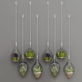 Multiple Glass Hanging Planters With Small Green Succulents Suspended From Ceiling 3d model
