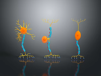 Advanced Medical Device for 3D Neuron Structure Visualization in Neuroscience Research 3d model