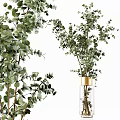 Transparent Glass Vases With Various Green Foliage And Natural Plants For Modern Home Decor