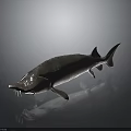 Realistic 3D Rendered Sturgeon Model With Detailed Scales And Long Snout