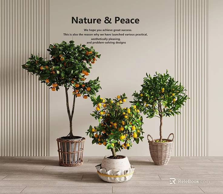 Nature And Peace Indoor Space With Fruit Bearing Trees In Woven Baskets And Ceramic Pots 3d model 
