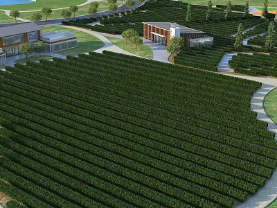 Scenic Rural Landscape With Lush Green Fields Neatly Arranged And Trees Along Roads 3d model