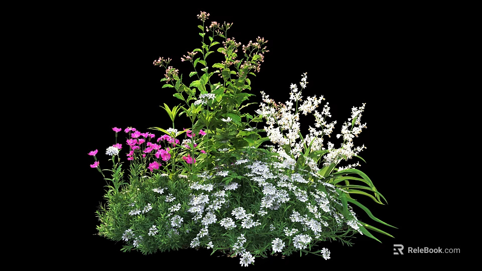 Vibrant Mixed Flowers With Pink White Blooms And Lush Green Foliage 3d model 
