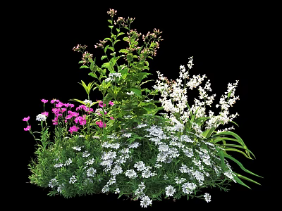 Vibrant Mixed Flowers With Pink White Blooms And Lush Green Foliage 3d model