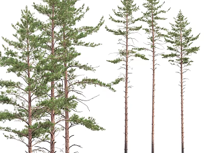 Decorative Pine Tree Ornament Set With Various Styles For Home Decoration 3d model