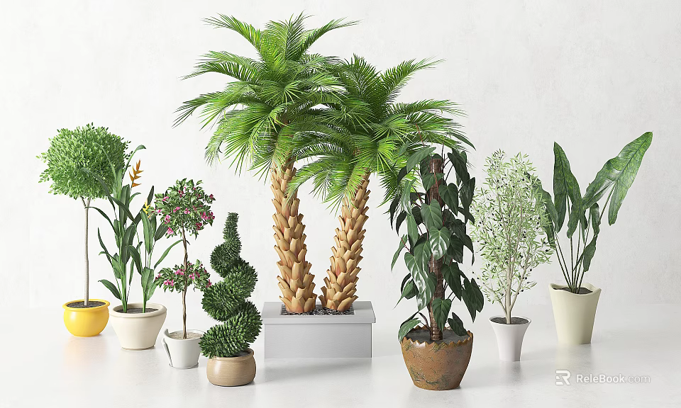 Various Indoor Potted Plants Including Palm Trees and Spiral Green Foliage in Colorful Pots 3d model 