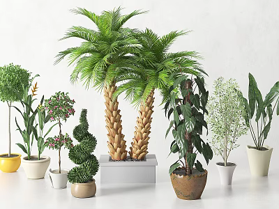 Various Indoor Potted Plants Including Palm Trees and Spiral Green Foliage in Colorful Pots 3d model