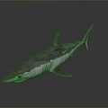Realistic Gray Shark With Streamlined Body And Sharp Fins In Marine Life