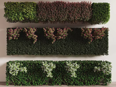 Colorful Garden Shrubs in Green Red Pink and White Hues Forming Layered Living Wall 3d model