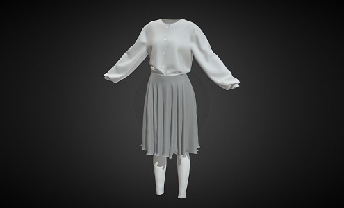 Modern Women's Shirt Skirt Women's Shirt Skirt 3d model