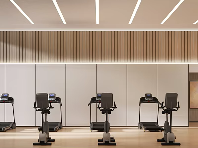 Modern Gym Interior With Treadmills And Exercise Bikes 3d model