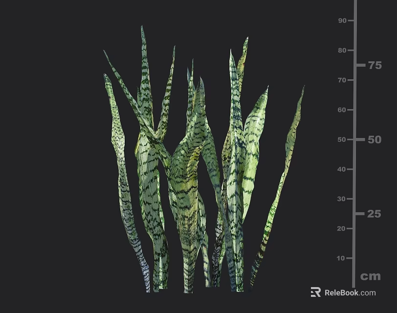 Green Striped Plant Inspired Sculpture Carving With Leaf Shaped Design And Centimeter Scale 3d model 