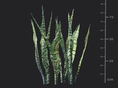 Green Striped Plant Inspired Sculpture Carving With Leaf Shaped Design And Centimeter Scale 3d model