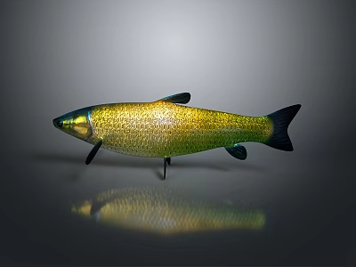 Golden Green Aquatic Fish With Shiny Scales Black Fins And Tail On Grey Background Reflection 3d model