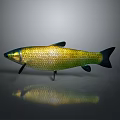 Golden Green Aquatic Fish With Shiny Scales Black Fins And Tail On Grey Background Reflection