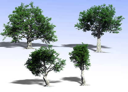 Plants 3d model