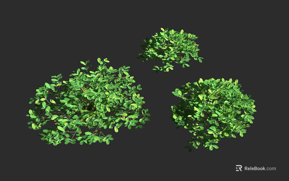 Green Lush Leafy Shrubs For Garden Landscaping And Outdoor Decoration 3d model 