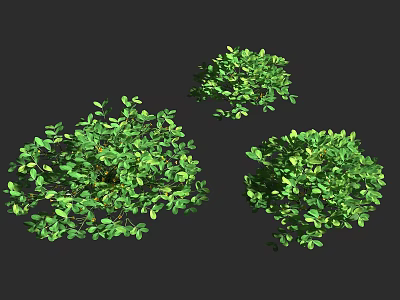 Green Lush Leafy Shrubs For Garden Landscaping And Outdoor Decoration 3d model