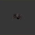Detailed 3D Render of Ant With Long Antennae and Segmented Body Structure