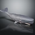 Gray Whale Realistic Sculpture With Detailed Features And Reflection On Black Background