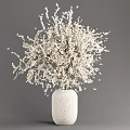 Elegant Bonsai Plant in White Vase with White Flowering Branches Against Gray Background