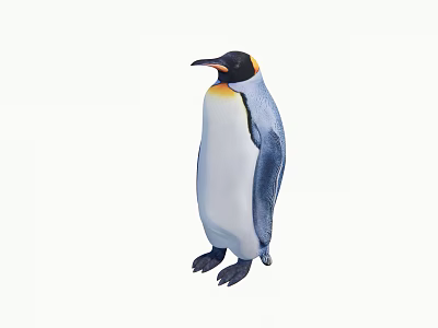 Standing Reptile With Yellow Black And White Coloration Detailed Features 3d model