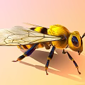 Vibrant Yellow And Black Bee With Transparent Wings On Soft Pink Background