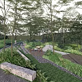 Scenic Park Landscape Featuring Lush Trees Winding Pathway Wooden Deck And Greenery