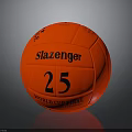 Slazenger Red Cricket Ball Featuring World Cup Final 25 Logo