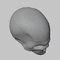 White Human Skull With Detailed Anatomical Structure Isolated On Gray