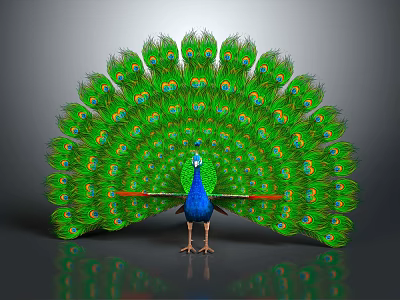 Flying Animal Peacock Displaying Spread Vibrant Green Feathers With Eye Spots 3d model