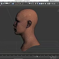 Human Head Male Head Male Head Face Middle-aged Male Head Asian Head Low Face Number Low Model Simple Model Game Video Level Super Realistic High Precision 3d model