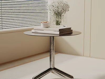 Modern Round Side Table with Metal Three Legs and Books Vase White Flowers by Window 3d model