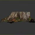 Natural Wood Tree Stump Featuring Fallen Leaves And Green Grass On Gray Background