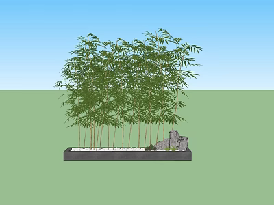 Tall Green Bamboo Plants In Rectangular Planter With Natural Stones Outdoor 3d model