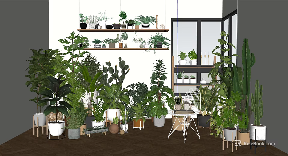 Stylish Indoor Bonsai Potted Plants Display With Shelves And Various Greenery 3d model 