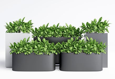 Modern Potted Plant Green Plant Potted Plant Flower Box Potted Combination 3d model