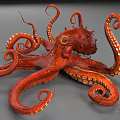 Red Octopus With Curled Tentacles And Suction Cups Underwater Marine Creature