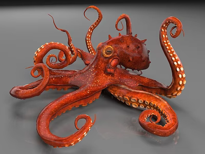 Red Octopus With Curled Tentacles And Suction Cups Underwater Marine Creature 3d model