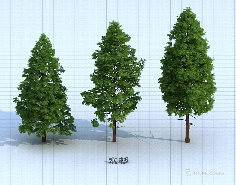 Three Different Arbor Trees Showcasing Various Crown Shapes and Lush Green Foliage 3d model 