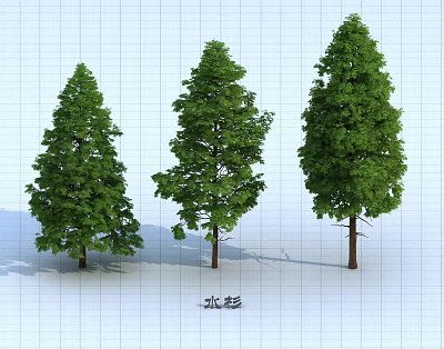 Three Different Arbor Trees Showcasing Various Crown Shapes and Lush Green Foliage 3d model