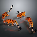 Four Orange Spotted Leopards With Black Tail Tips On Gray Background With Reflections