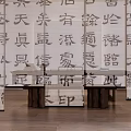 Chinese Style Curtains With Calligraphy Characters In Modern Living Room Interior