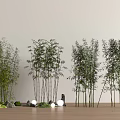 Bamboo Clumps Arrangement With White Walls Wooden Floor Stones And Small White Lights