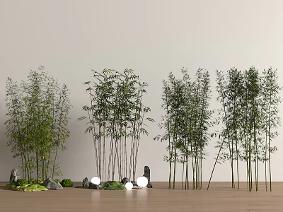 Bamboo Clumps Arrangement With White Walls Wooden Floor Stones And Small White Lights 3d model