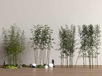 Bamboo Landscape Bamboo Luohan Bamboo Xiangfei Bamboo Courtyard Bamboo Garden Forest Bamboo 3d model