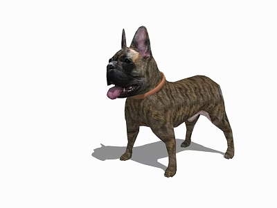 Brown And Black Striped Lizard With Orange Collar Standing In Shadow 3d model