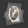 Rough Bird Nest Structure Composed of Fine Twigs and Irregular Shape on Dark Background