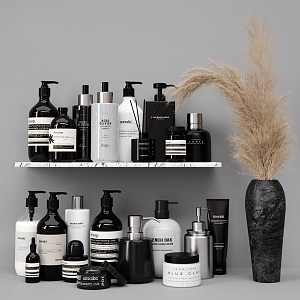 Modern Toiletries 3d model